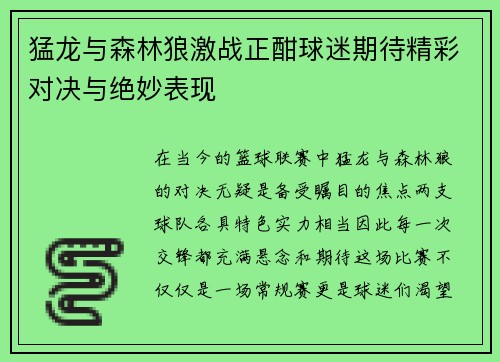 猛龙与森林狼激战正酣球迷期待精彩对决与绝妙表现